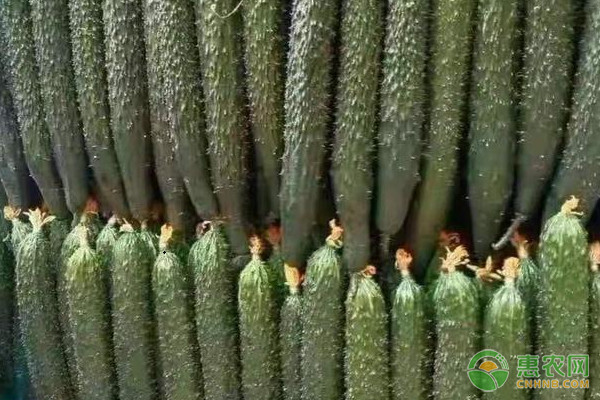 ¶�ػƹϵ����ּ���